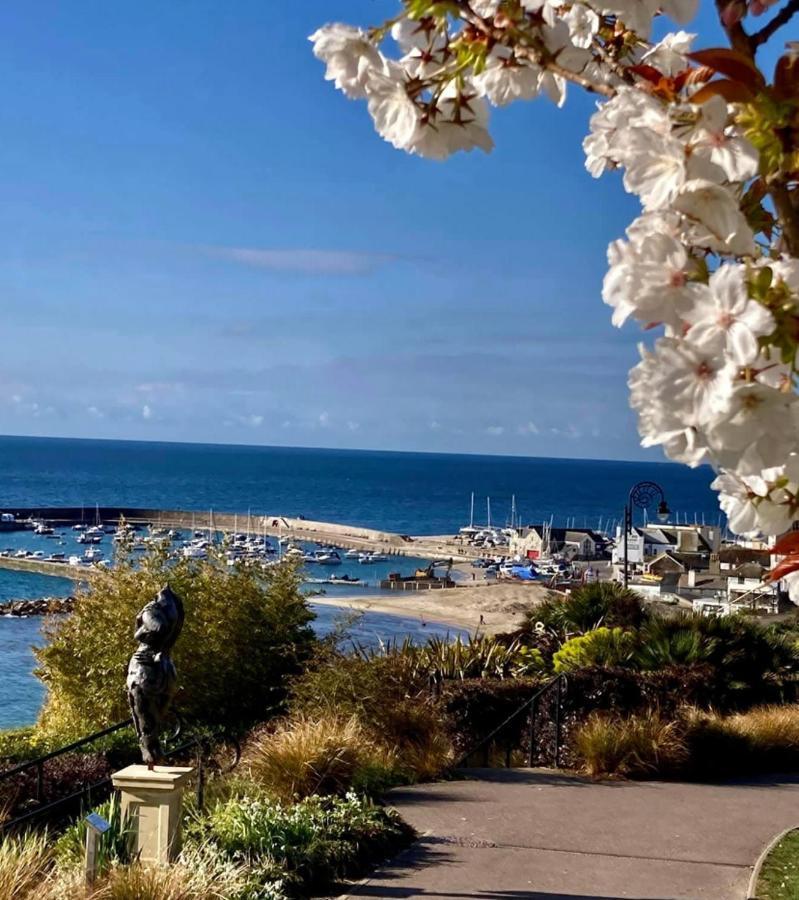 Fantastic Spacious House With Beautiful Panoramic Views Of The Bay Only A Few Minutes Walk From Beach Harbour And Restaurants This House Has 3 Bedrooms 3 Bathrooms And 2 Lovely Sitting Rooms Lyme Regis Exterior photo